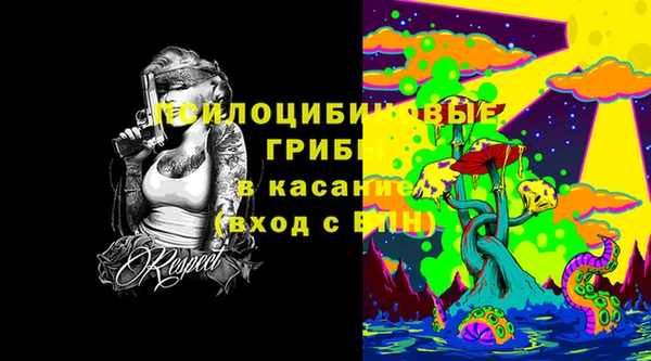 гидропоника Кукмор